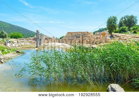 The Reed Beds In Agora