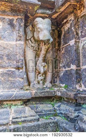 The Elephant In Wall