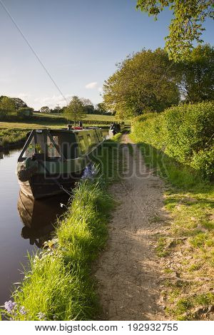 A late summer afternoon on the 200 year old Shropshire Union canal in England with traditional British narrowboats moored up on the bank