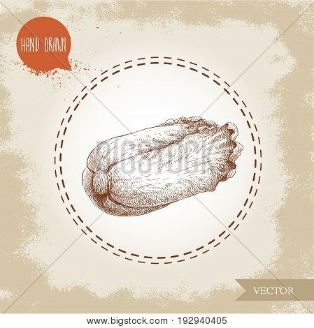 Hand drawn sketch chinese cabbage. Pe-tsai exotic vegetable. Eco food vector illustration.