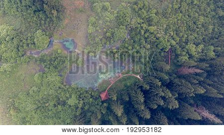 Aerial view of a forest with lake. Natural park Zelenci, Slovenia.