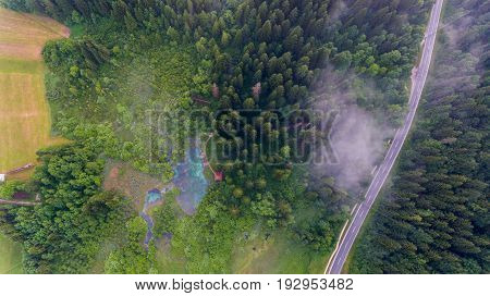Aerial view of a forest with lake. Natural park Zelenci, Slovenia.