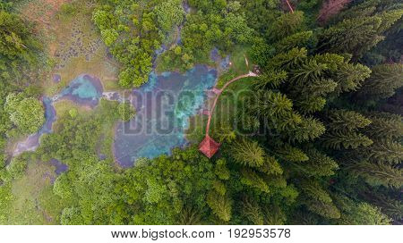 Aerial view of a forest with lake. Natural park Zelenci, Slovenia.