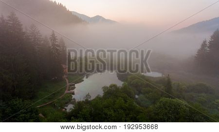 Morning mists rising above forest lake. Natural park Zelenci, Slovenia.