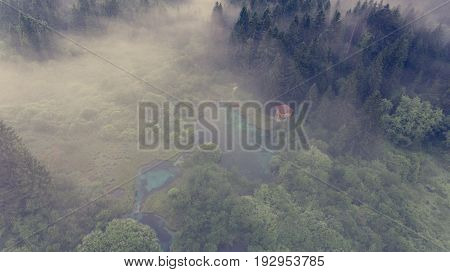 Aerial view of a forest with lake. Natural park Zelenci, Slovenia.