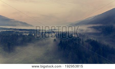 Aerial view mist hovering across a valley. Natural park Zelenci, Slovenia.