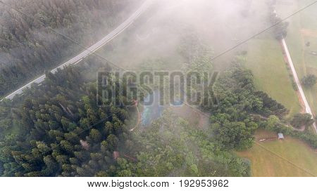 Aerial view of a forest. Road passing by.