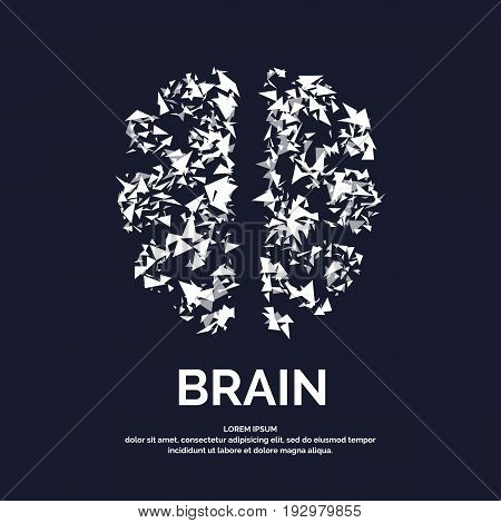 Vector logo colored silhouette of brain on a dark background.