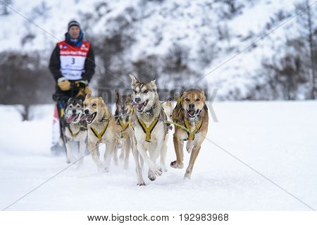 SARDIERES VANOISE FRANCE - JANUARY 18 2016 - the GRANDE ODYSSEE the hardest mushers race in savoie Mont-Blanc Vanoise Alps