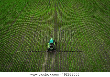 A blue tractor moves through the spring field and sprays fertilizers on plants planted on it. Spring processing of agricultural crops. View from above. Aerial view