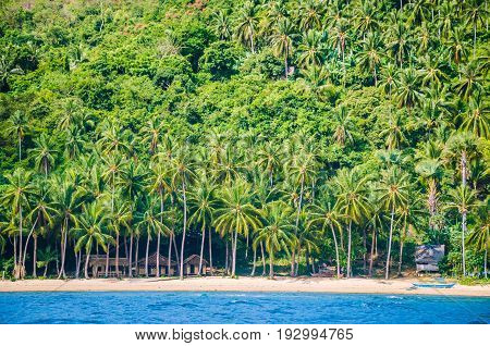 Local huts under palm trees on Cadlao Island, El Nido, Palawan, Philippines.