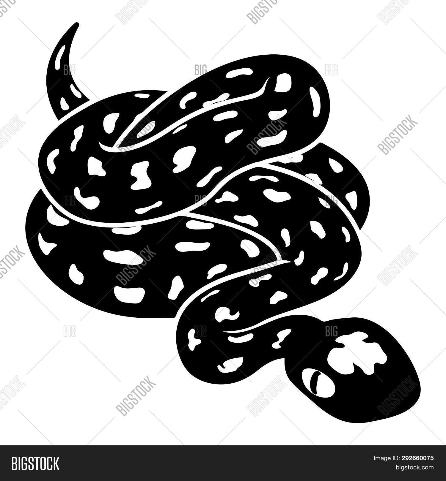 Anaconda Snake Icon. Image & Photo (Free Trial) | Bigstock