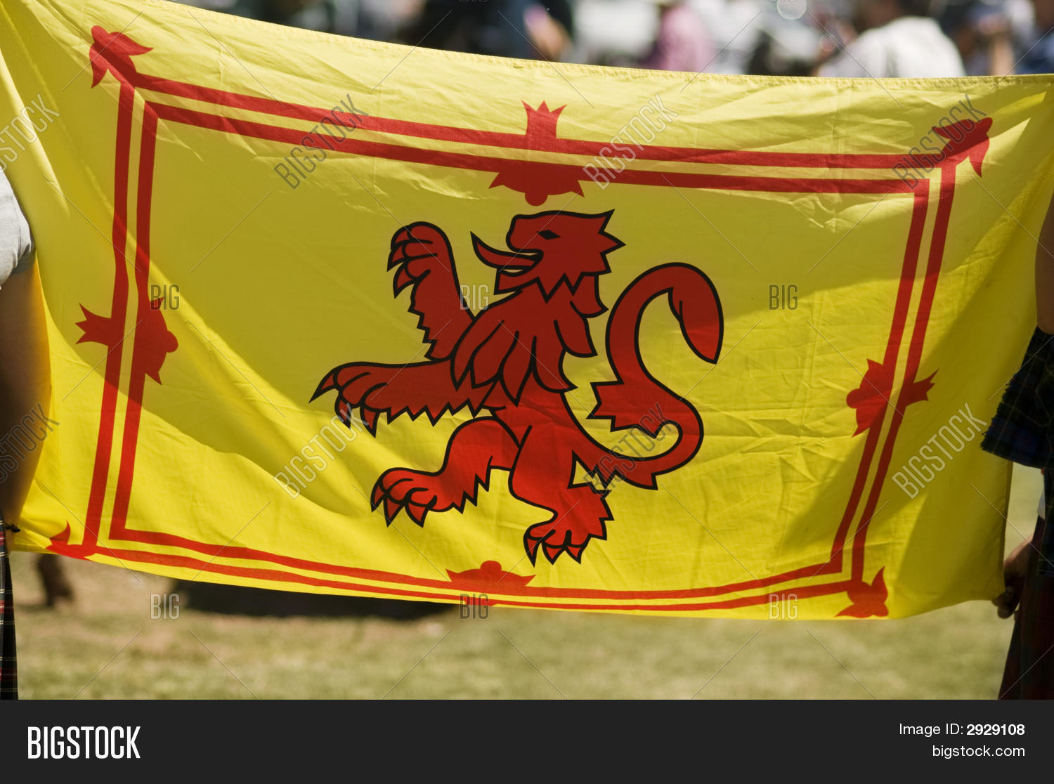 Scottish Rampant Lion Image & Photo (Free Trial) Bigstock