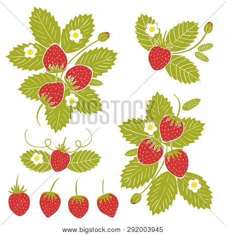 Summer Or Spring Season Frame With Strawberry, Leaves And Flowers. Decoration Element For Cards And 