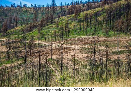 Nature And Landscapes In Spokane Reservation Near Spokane Columbia  River