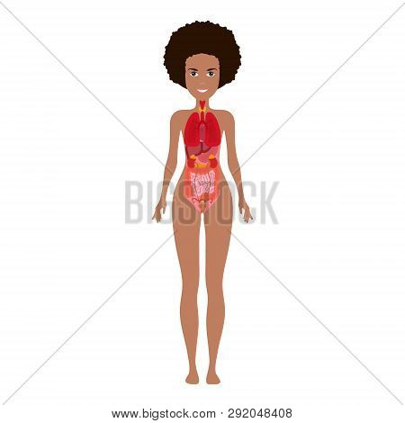 Human Female Body Vector Photo Free Trial Bigstock