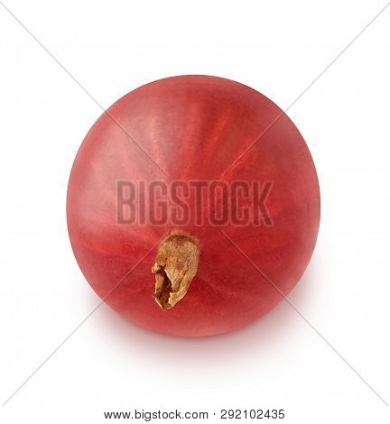 Red Single Gooseberry Isolated On A White Background.