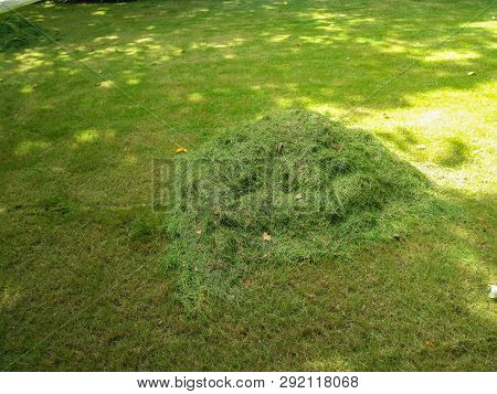Grass Just Been Cut By Lawn Mower