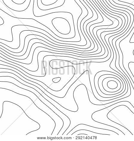 Topographic Map Background. Geographic World Topography Map Grid Abstract Vector Illustration. Topo 