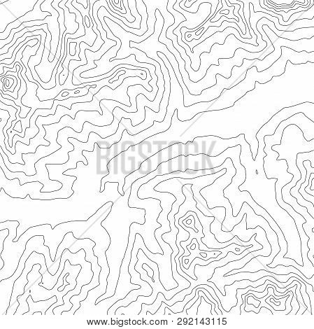 Topographic Map Background. Geographic World Topography Map Grid Abstract Vector Illustration. Topo 