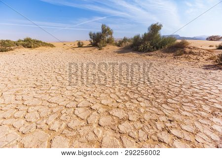 Dry Cracked Soil In The Wadi Araba Desert. Jordan Landscape