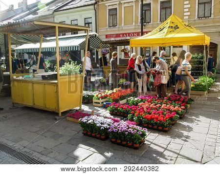 Kosice, Slovak Republic - May 2, 2018: Flower Market On Dominican Square In Kosice. People Buy Flowe