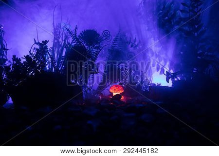 Fantasy Glowing Mushrooms In Mystery Dark Forest Close-up. Beautiful Macro Shot Of Magic Mushroom Or