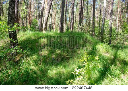 Ancient Slavic Mounds In The Forest, Kaluzhskiy Region, Russia
