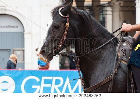 Italy, Brescia - October 01 2017: The View Of The Traditional Knight Tournament At Celebrations Of C