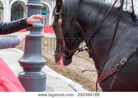 Italy, Brescia - October 01 2017: The View Of The Traditional Knight Tournament At Celebrations Of C