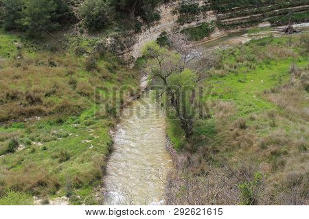 Cyprus Mountain River Kryos Flowing Into Kouris Water Reservoir And Its Green Banks On A Nice Spring