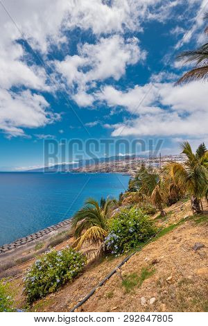 Santa Cruz De Tenerife Coastline, Viewed From Palmetum Park, Old Refinery In The Background, Canary 
