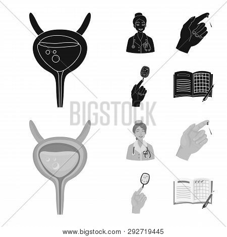 Vector Design Of Diet And Treatment  Logo. Collection Of Diet And Medicine Vector Icon For Stock.