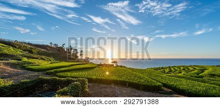 Beautiful Sunset View Of Senmaida Rice Paddy Terrace Wajima Ishikawa Japan