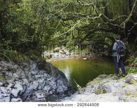 Men Hiker With Backpack Standing Next To Small Green Pond At Lush Green Tropical Forest With Rock An