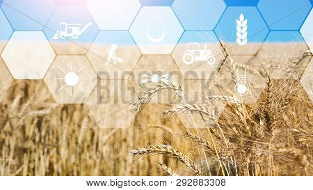 Smart Farming, Iot And Agritech. Digital Sensor Icons For Management, Control And Monitoring Agricul