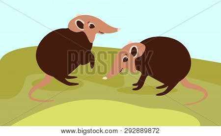 Black And Rufous Elephant Shrew,vector Illustration,flat Style