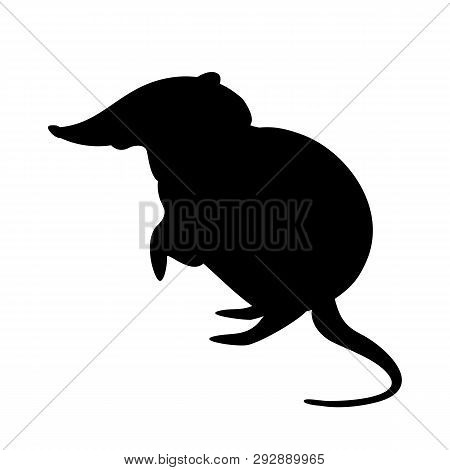 Black And Rufous Elephant Shrew,vector Illustration, Black Silhouette
