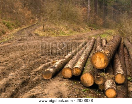 De Logs