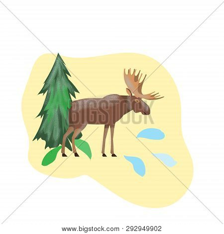 North Handsome Moose In A Meadow, Vector Illustration