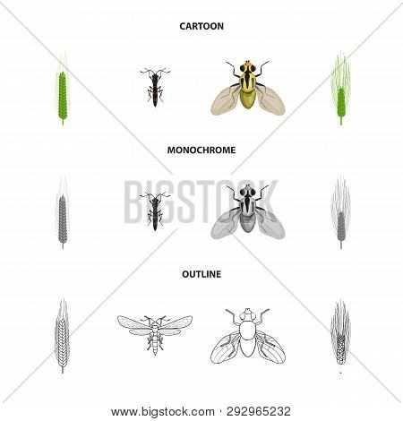 Vector Design Of Agriculture And Farming Icon. Set Of Agriculture And Plant  Vector Icon For Stock.