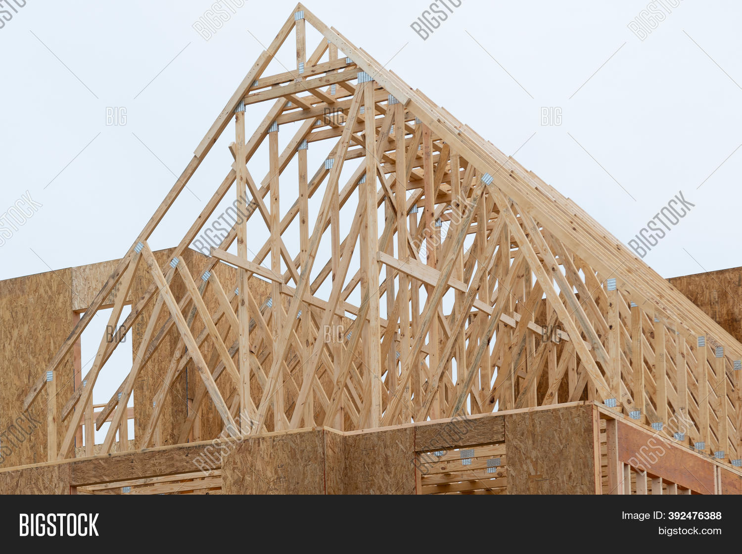 Rafters New Plywood Image & Photo (Free Trial) | Bigstock