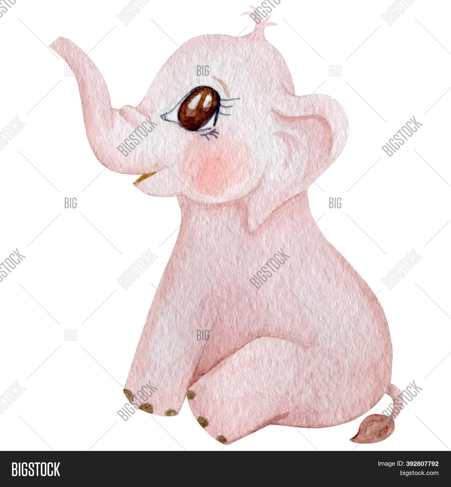 Cute Baby Elephant Image Photo Free Trial Bigstock