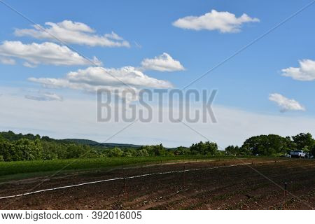 Wallingford, Ct - Jun 13: Gouveia Vineyards In Wallingford, Connecticut, As Seen On Jun 13, 2020.