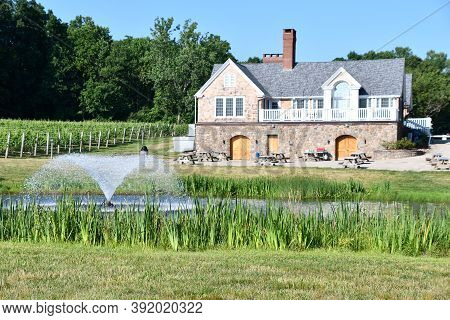 Clinton, Ct - Jul 4: Chamard Vineyard In Clinton, Connecticut, As Seen On July 4, 2020.