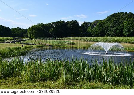 Clinton, Ct - Jul 4: Chamard Vineyard In Clinton, Connecticut, As Seen On July 4, 2020.