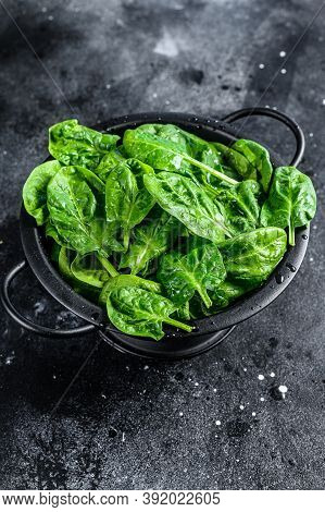 Fresh Spinach Leaves In A Colander. Black Background. Top View