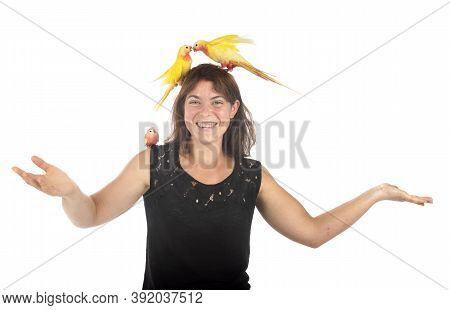Princess Parrot Bourke, And Woman,  In Front Of White Background