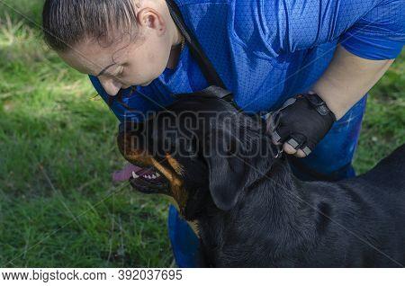 Middle-aged Woman Holds Rottweiler Dog By  Collar. Woman In Blue Tracksuit Prepares For Dog Show. Sp