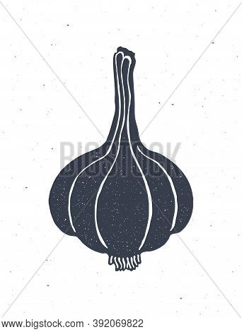 Silhouette Of Whole Head Of Garlic. Vector Illustration. Condiment For Vegetable Salad. Healthy Vege
